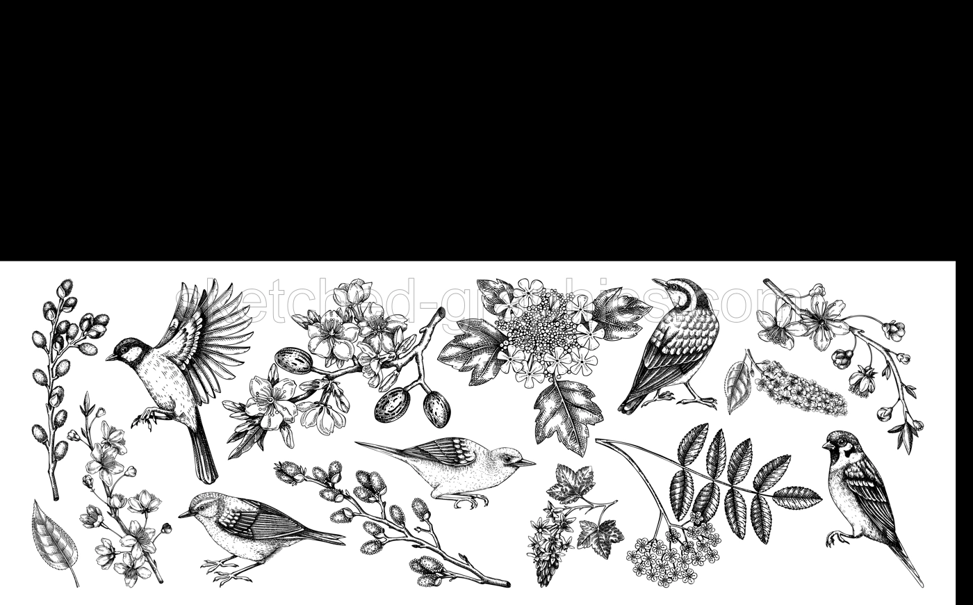 Flowering branches and birds drawings collection. Vintage cherry, almond, willow, rowan, currant flowers sketches set. Botanical vector illustrations of spring blooming trees isolated white background Illustration